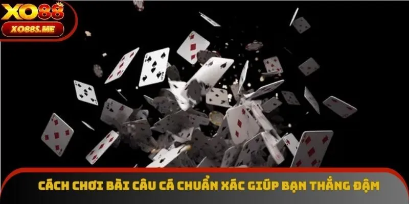 Cách chơi bài câu cá chuẩn xác giúp bạn thắng đậm