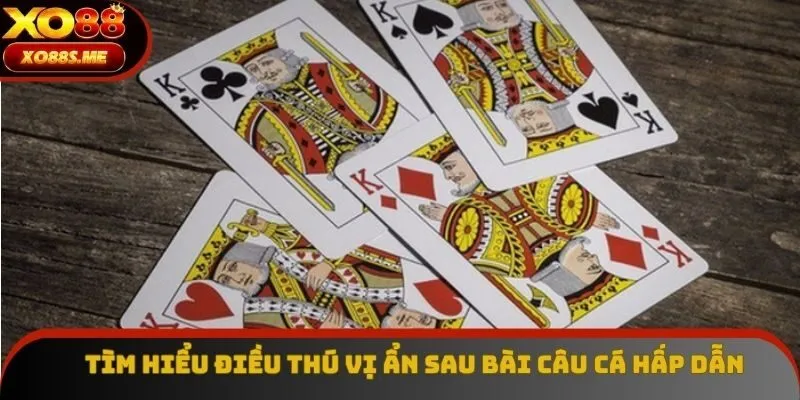 Tìm hiểu điều thú vị ẩn sau bài câu cá hấp dẫn