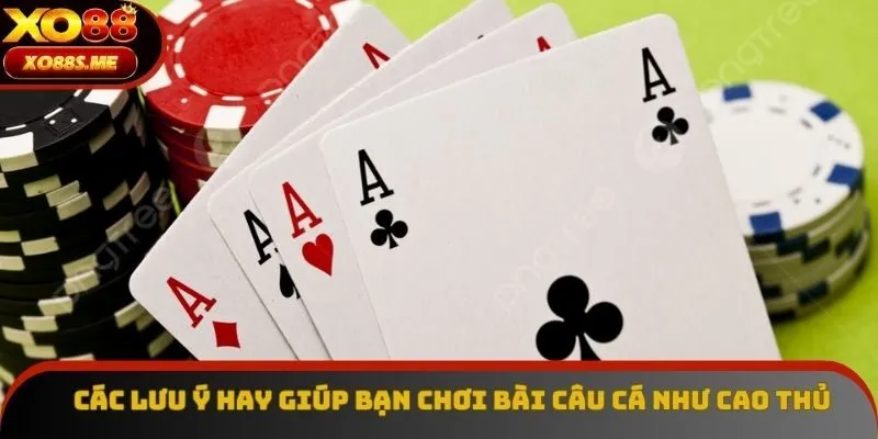 Các lưu ý hay giúp bạn chơi bài câu cá như cao thủ