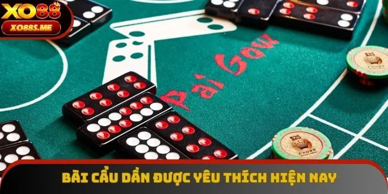 Bài Cầu ngày càng được yêu thích trên thị trường