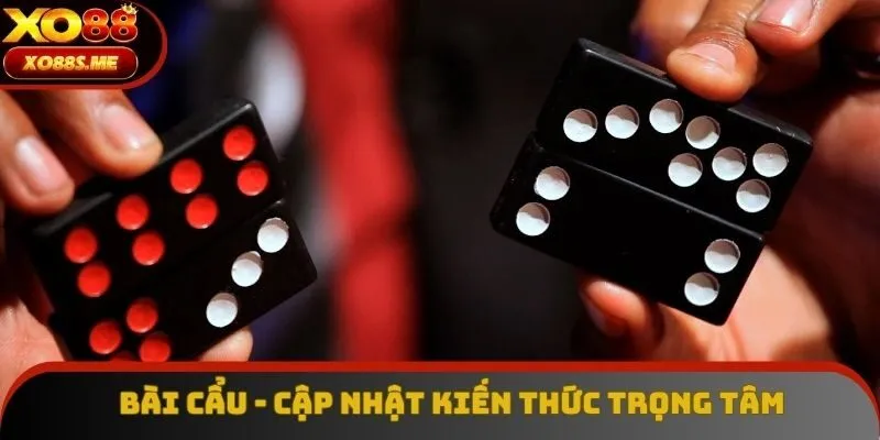 Bài Cẩu Là Gì? Cập Nhật Luật Đánh Pai Gow Chi Tiết