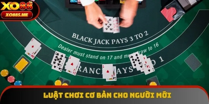 Luật chơi cơ bản cho người mới Luật chơi cơ bản cho người mới