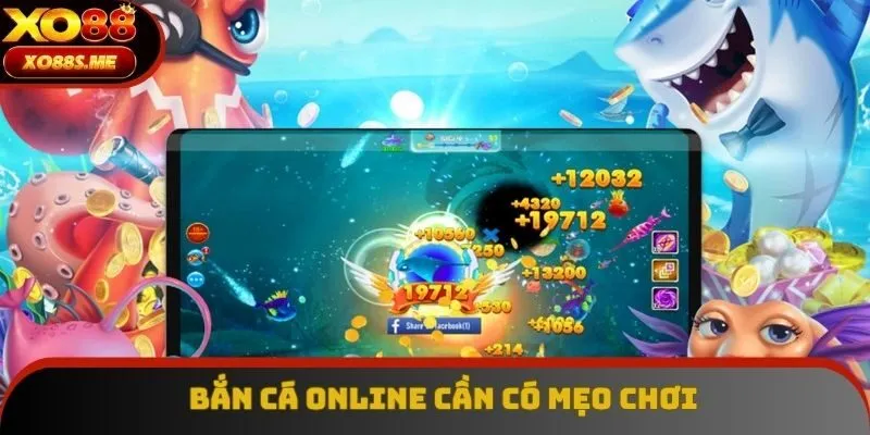 Áp dụng các chiến thuật săn bắt có hiệu quả Áp dụng các chiến thuật săn bắt có hiệu quả