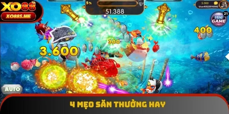 4 mẹo săn thưởng hay