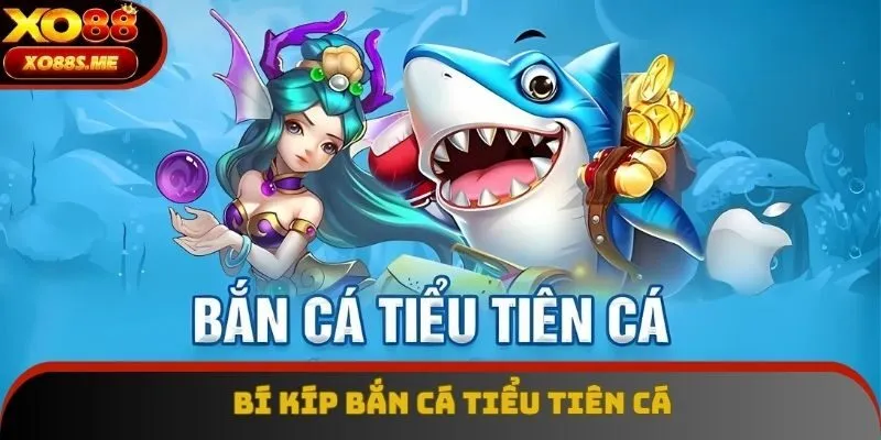 Bí kíp bắn cá tiểu tiên cá Bí kíp bắn cá tiểu tiên cá