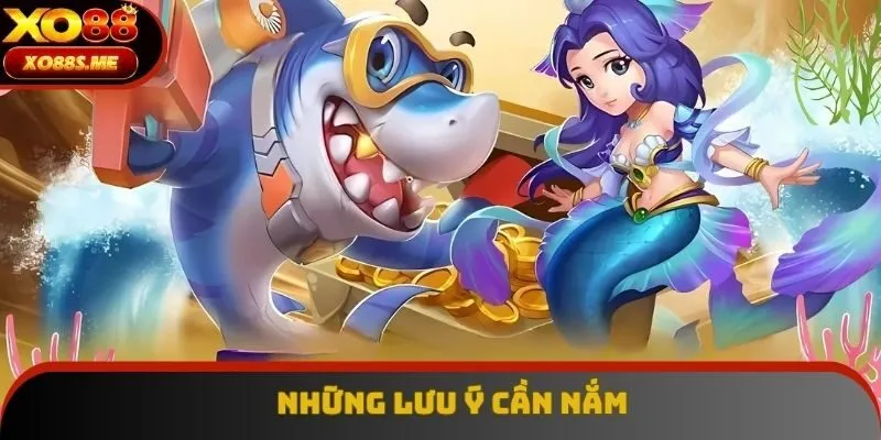 Những lưu ý cần nắm Những lưu ý cần nắm