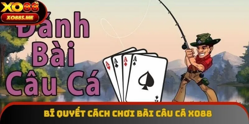 Cách Chơi Bài Câu Cá Xo88 - Bí Quyết Dành Cho Cao Thủ