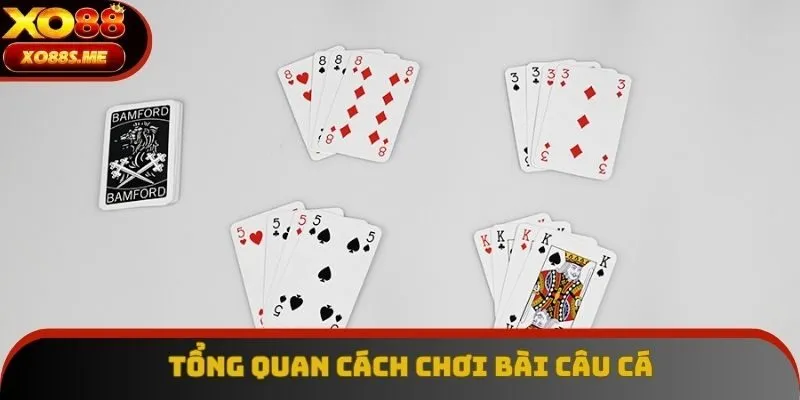 Tổng quan sơ lược về game và cách chơi bài câu cá