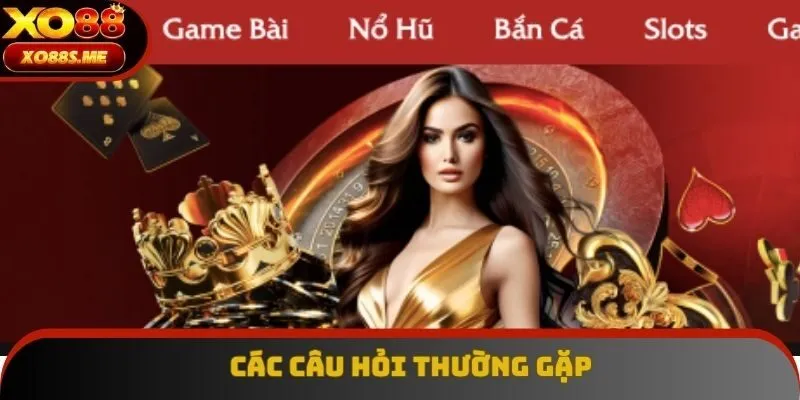 Các câu hỏi thường gặp