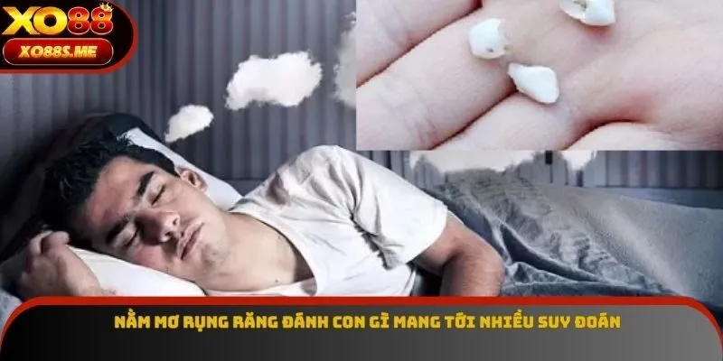 Nằm mơ rụng răng đánh con gì mang tới nhiều suy đoán