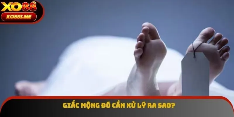 Giấc mộng đó cần xử lý ra sao? Giấc mộng đó cần xử lý ra sao?