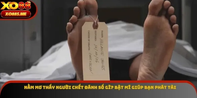 Nằm Mơ Thấy Người Chết Đánh Số Gì? Bật Mí Giúp Bạn Phát Tài