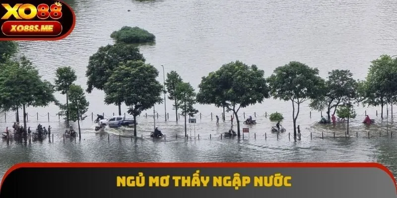 Nằm mơ thấy nước đánh con gì nếu như một vùng ngập lớn Nằm mơ thấy nước đánh con gì nếu như một vùng ngập lớn