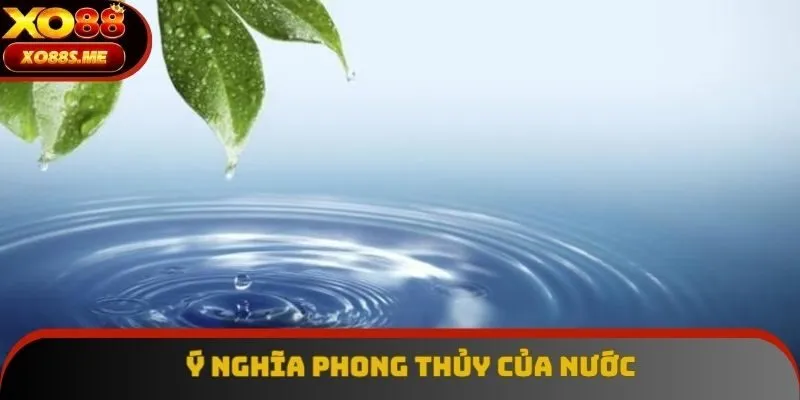 Ý nghĩa của nước trong phong thủy vô cùng quan trọng Ý nghĩa của nước trong phong thủy vô cùng quan trọng