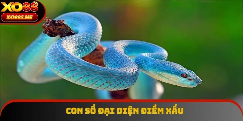 Các số nằm mơ thấy rắn đánh con gì thuộc điềm xấu