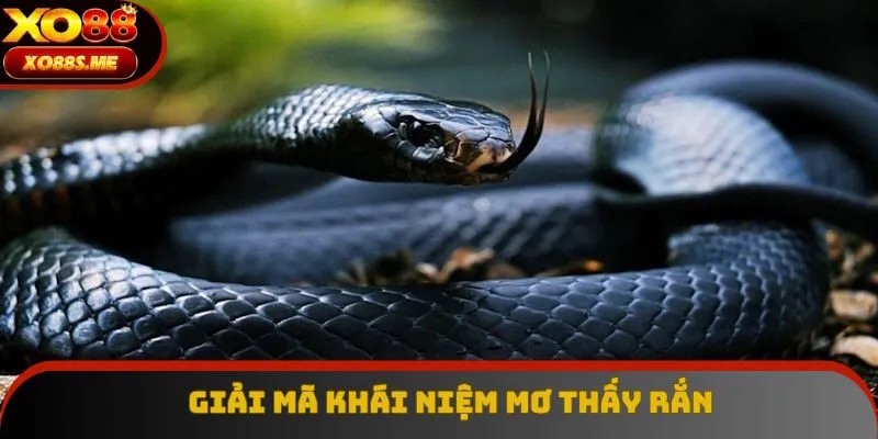 Giải mã khái niệm nằm mơ thấy rắn đánh con gì