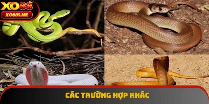 Tổng hợp các tình huống đặc biệt khác