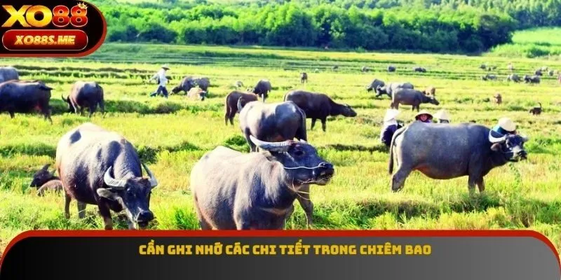 Cần ghi nhớ các chi tiết trong chiêm bao