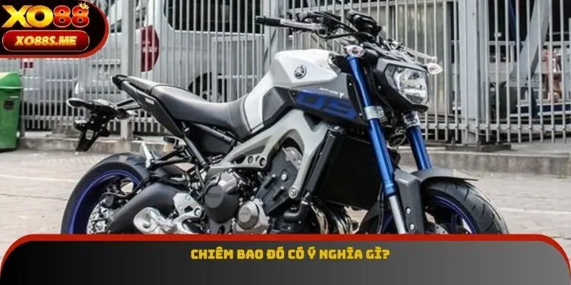 Chiêm bao đó có ý nghĩa gì?