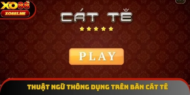 Thuật ngữ thông dụng được dùng trên bàn Catte Thuật ngữ thông dụng được dùng trên bàn Catte