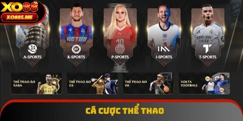 Cá cược thể thao nổi bật với nhiều sảnh cược Cá cược thể thao nổi bật với nhiều sảnh cược